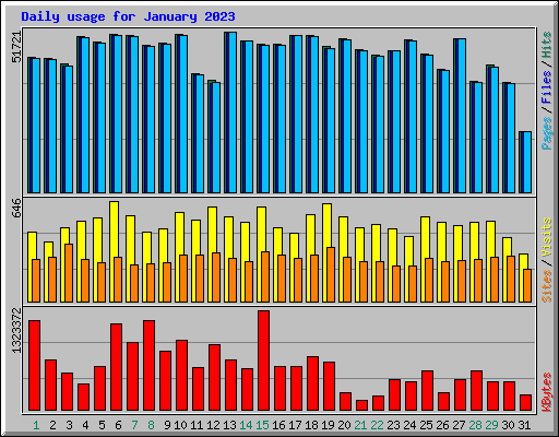 Daily usage for January 2023