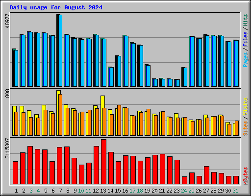 Daily usage for August 2024