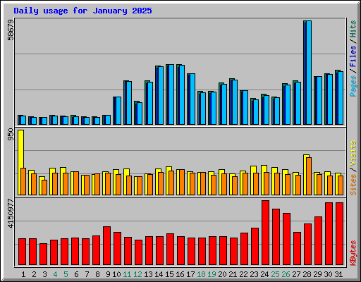 Daily usage for January 2025