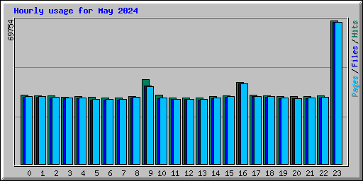 Hourly usage for May 2024