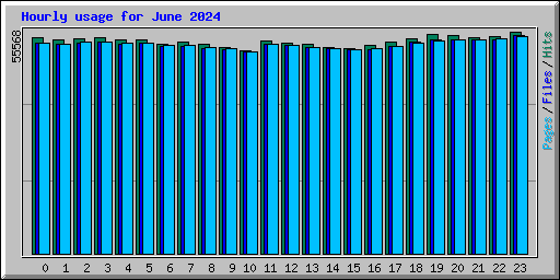 Hourly usage for June 2024