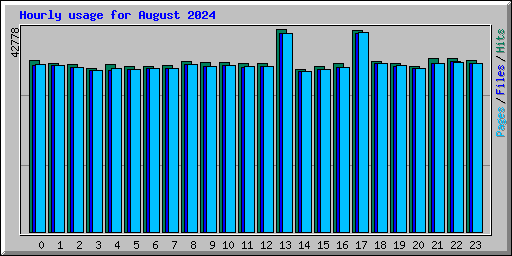 Hourly usage for August 2024