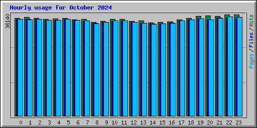 Hourly usage for October 2024