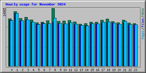 Hourly usage for November 2024