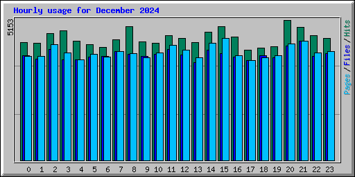 Hourly usage for December 2024