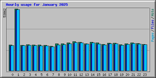 Hourly usage for January 2025