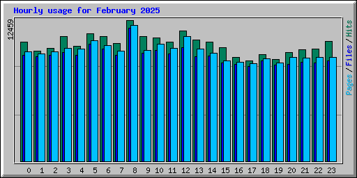 Hourly usage for February 2025