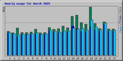 Hourly usage for March 2025