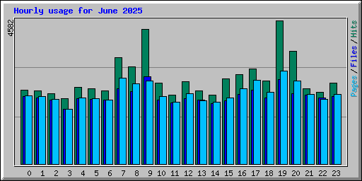 Hourly usage for June 2025