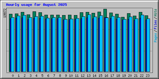 Hourly usage for August 2025