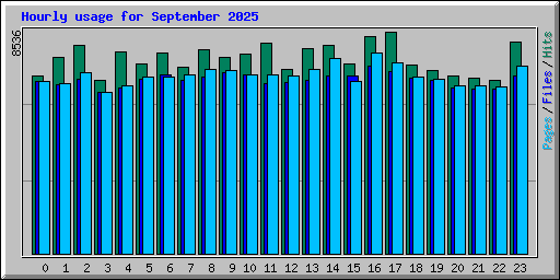Hourly usage for September 2025