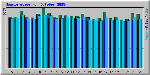 Hourly usage for October 2025