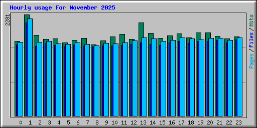 Hourly usage for November 2025