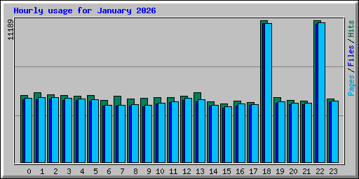 Hourly usage for January 2026