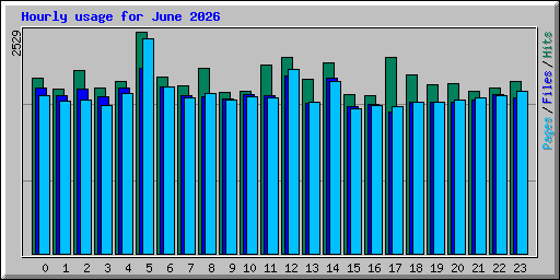 Hourly usage for June 2026