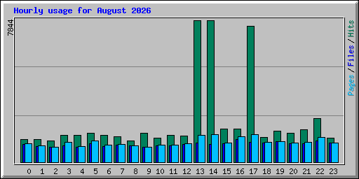 Hourly usage for August 2026